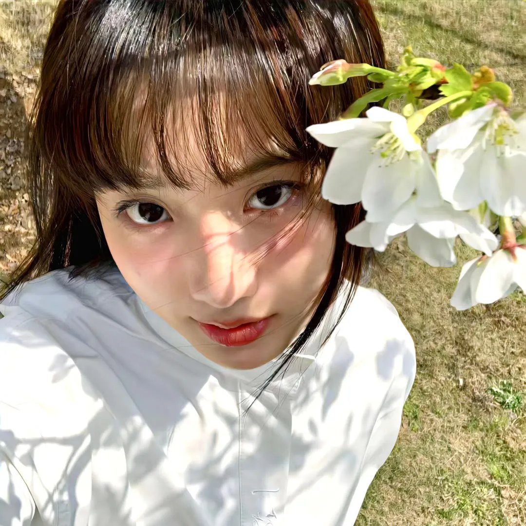 凤女龙驹